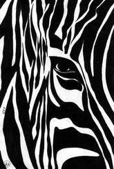 Zebra Art